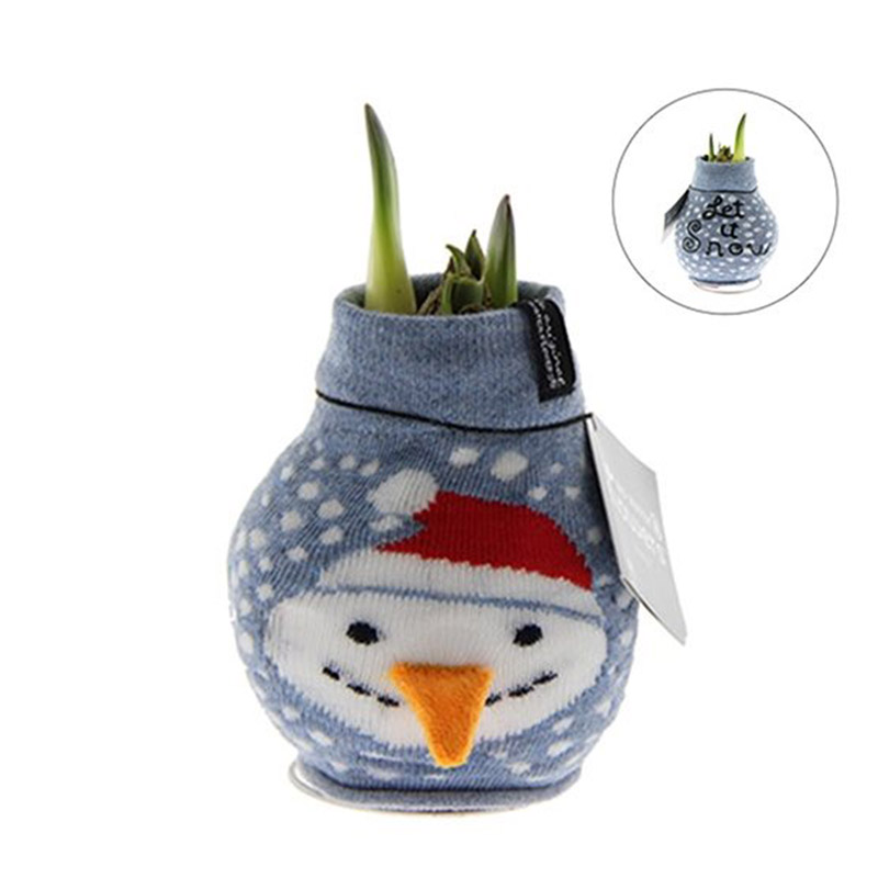9009771-Wax-Amaryllis-Fashionz-Xmas-SneeuwpopomFYElJ2tf6lr