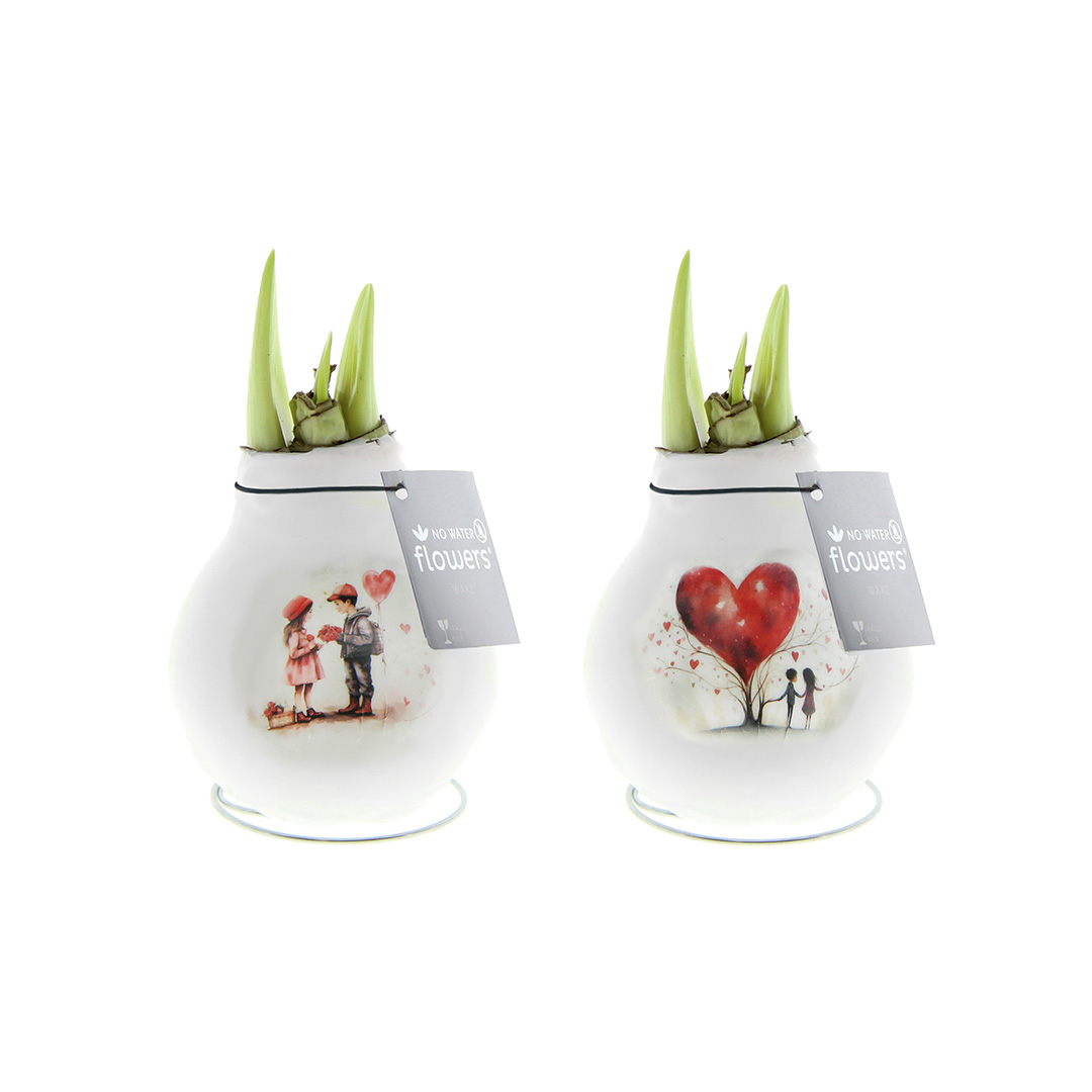 Wax Amaryllis Craftz Love Mix