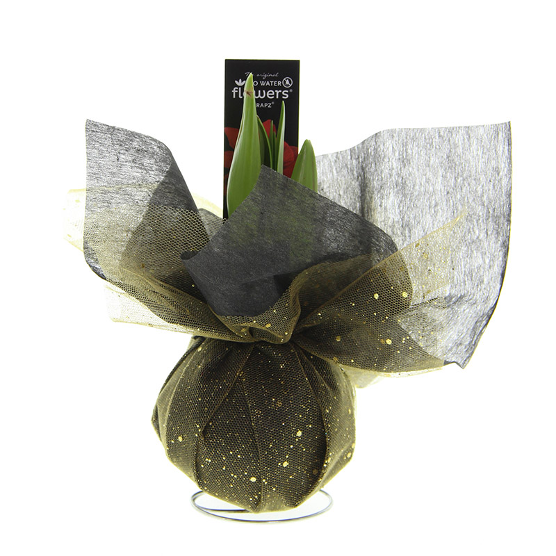 Amaryllis Xmas Wrapz goud