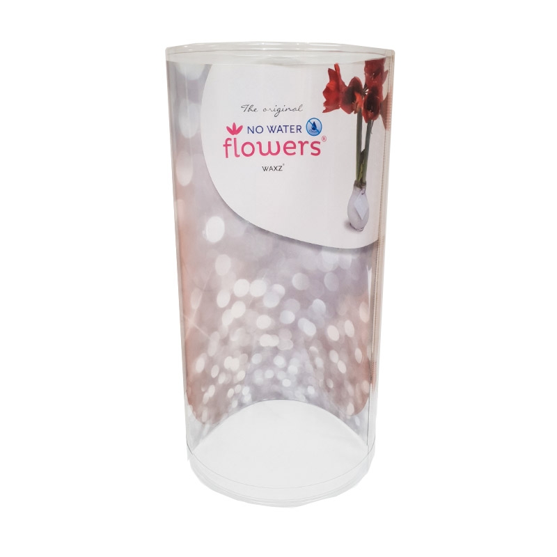 Wax Amaryllis Double Sparkle Mix à 2 in KOKER