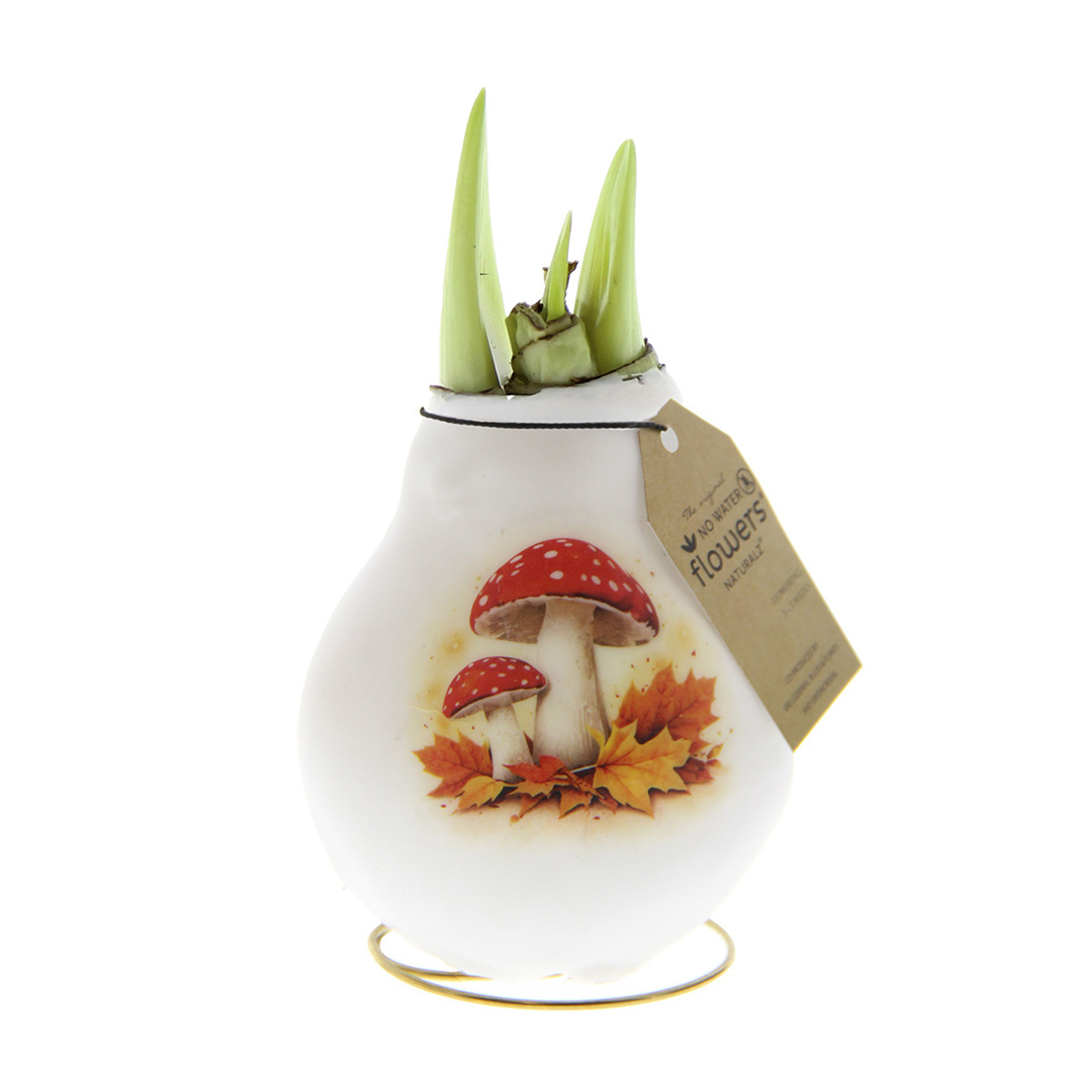 Wax Amaryllis Crafts Forest Paddenstoel