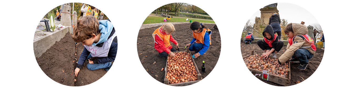 QFB Gardening stuurt 150.000 bloembollen naar Oekraïense scholen