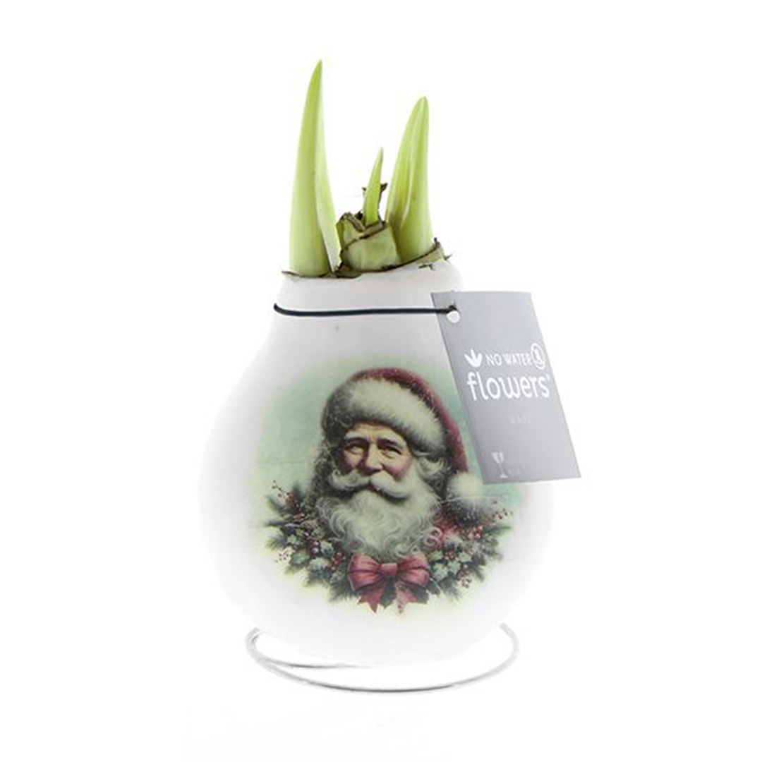 Wax Amaryllis Crafts Christmas Santa