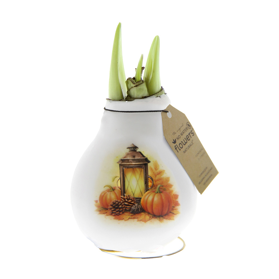 Wax Amaryllis Crafts Forest Lantaarn