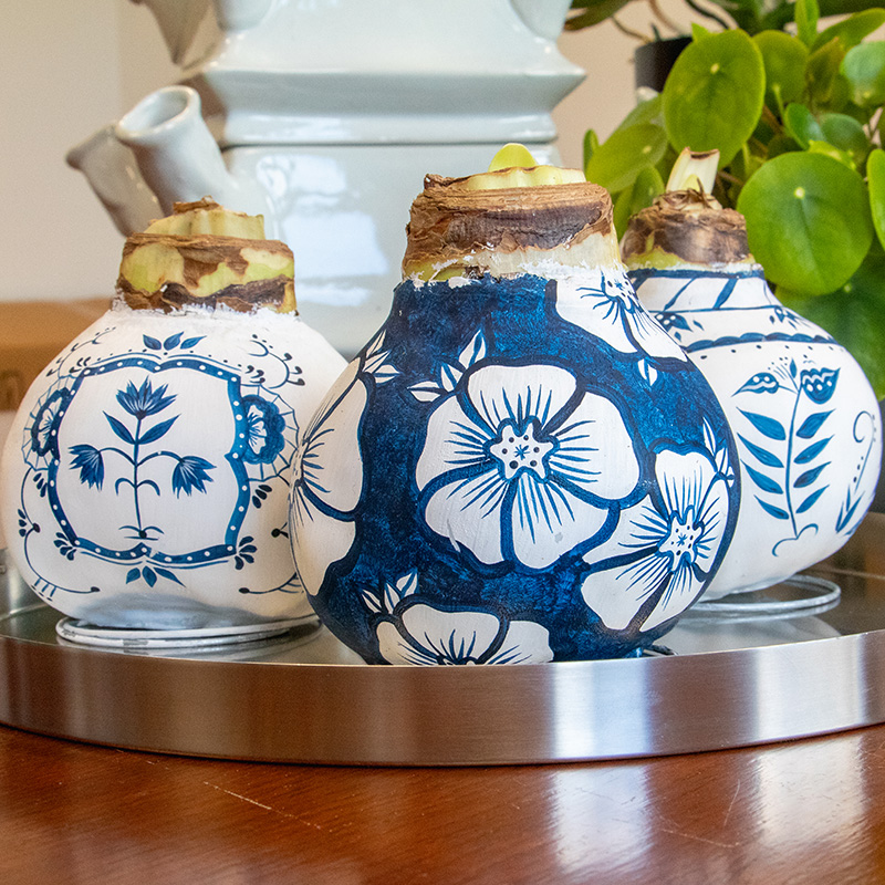 9000070-Wax-Amaryllis-Delfts-Blauw-Collectie Wax Amaryllis XXL Delfts Blauw Collectie