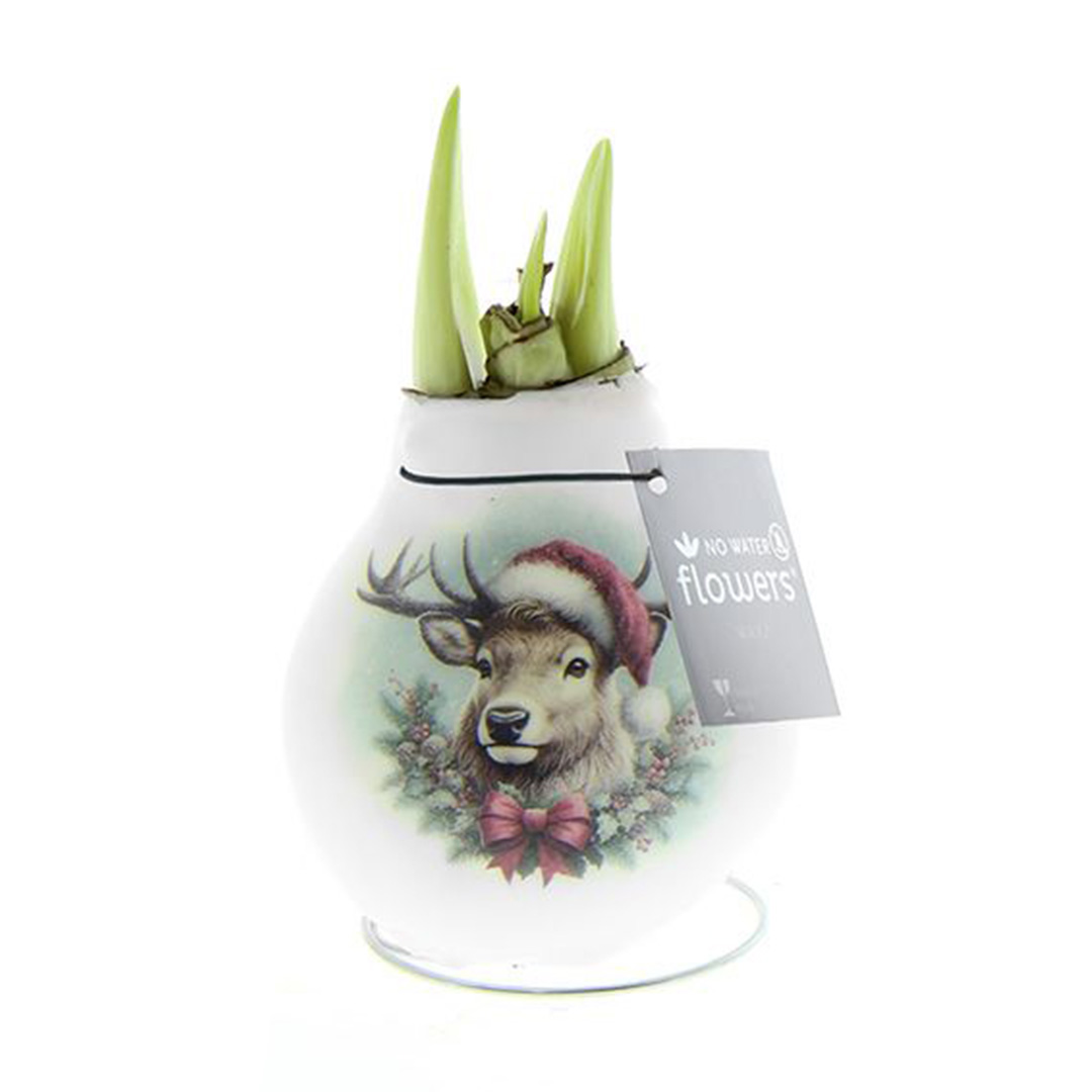 Wax Amaryllis Crafts Christmas Rendier
