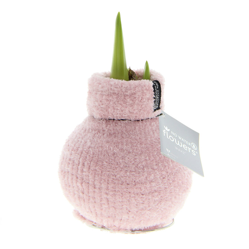 9000050-Wax-Amaryllis-Cozy-Fluffy-Roze