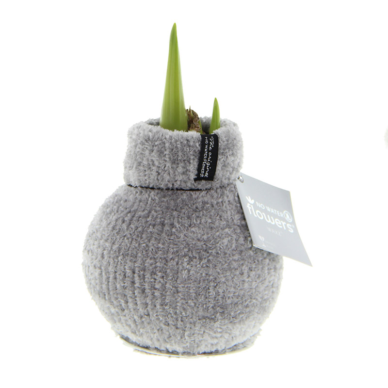 9000049-Wax-Amaryllis-Cozy-Fluffy-Grijs