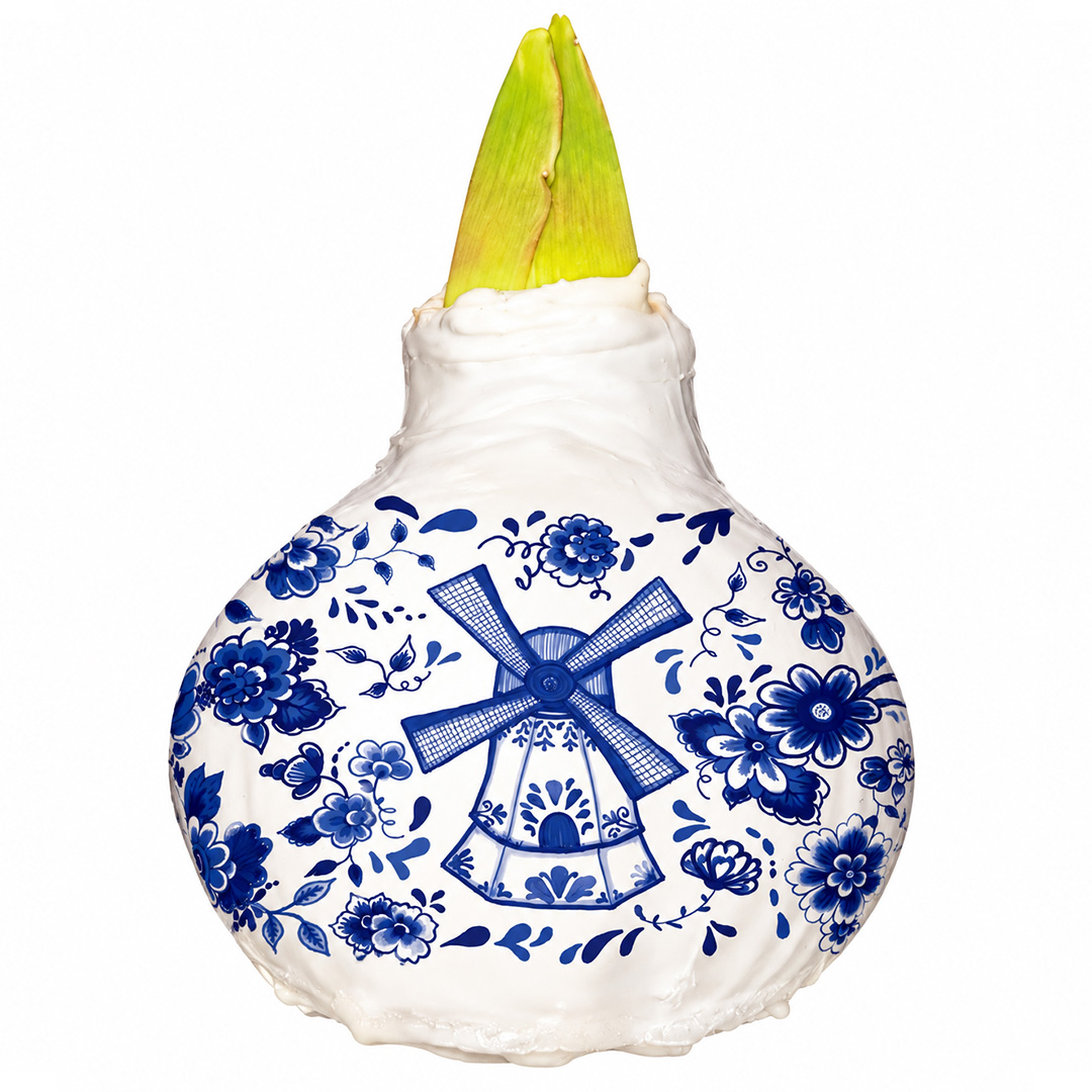 Wax Amaryllis XL Delfts Blauw Molen