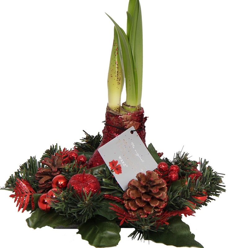 Wax Amaryllis Kerstkrans Rood