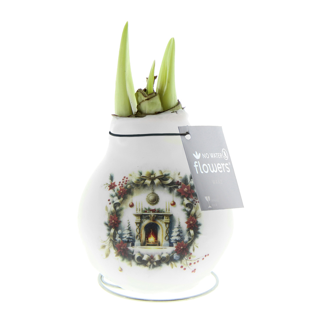 Wax Amaryllis Crafts Christmas Haard