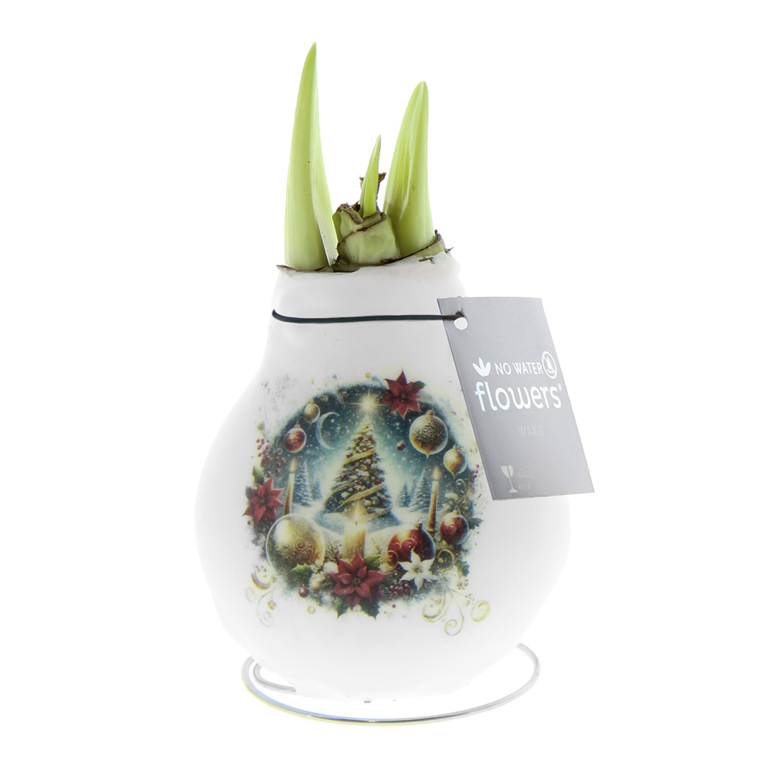 Wax Amaryllis Crafts Christmas Boom