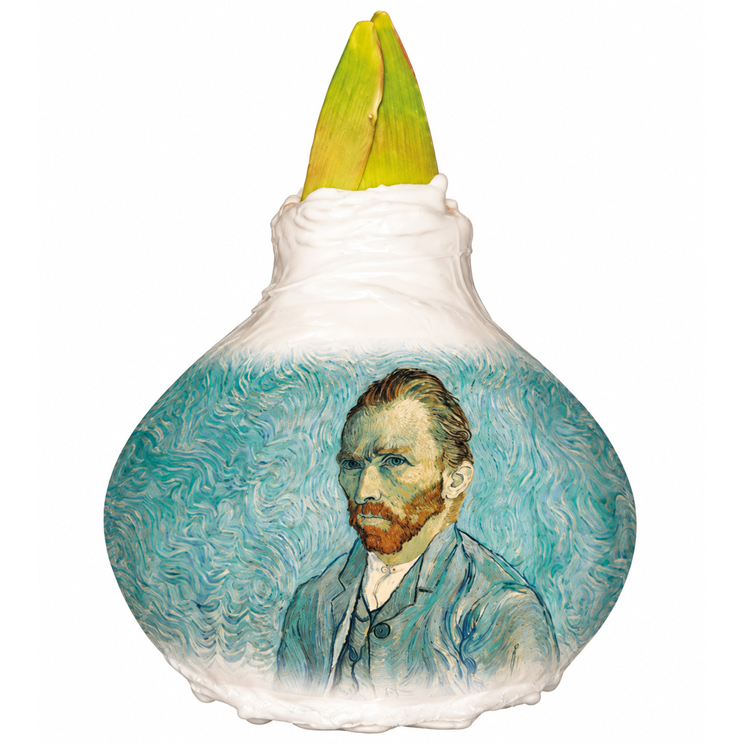 Wax Amaryllis XL Vincent van Gogh