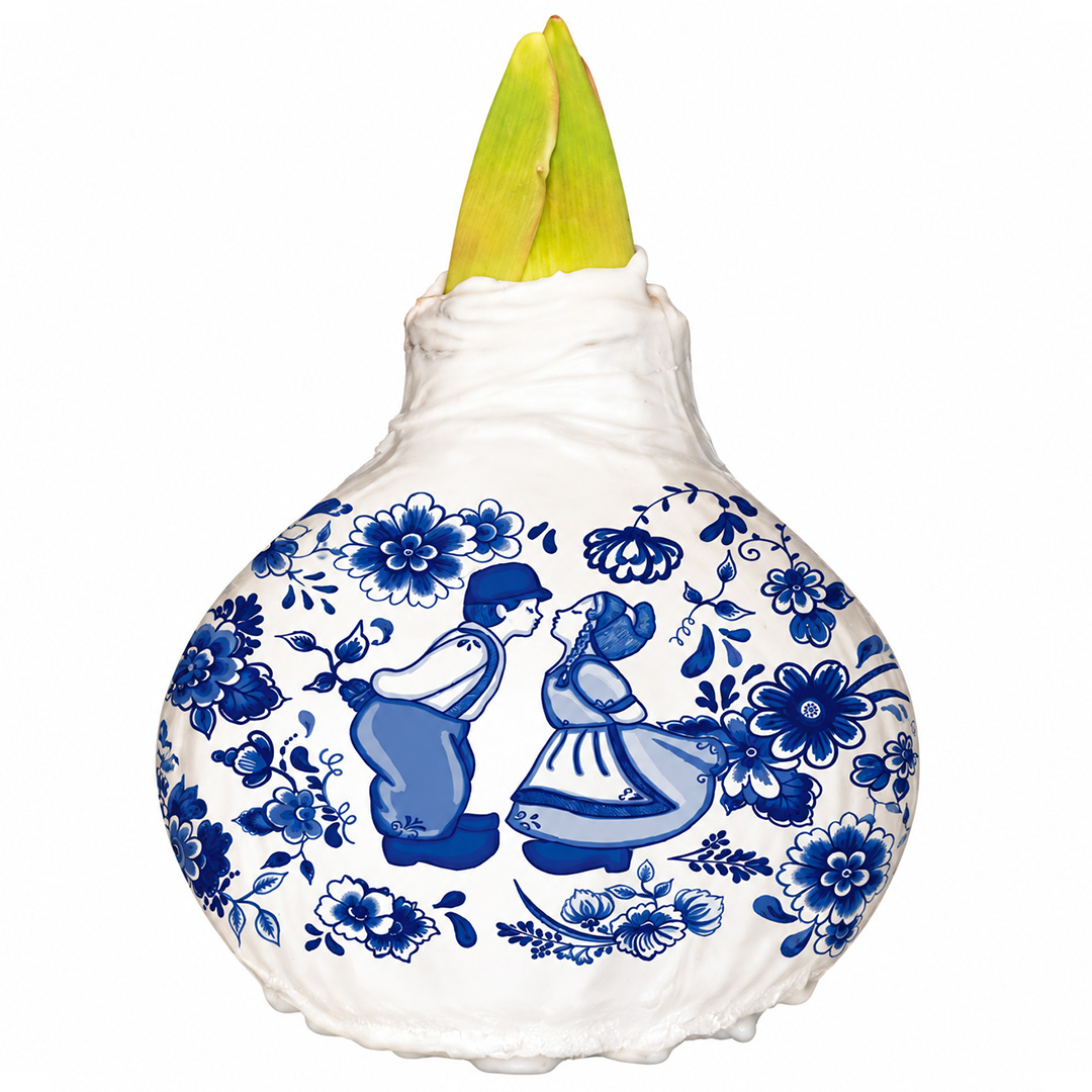 Wax Amaryllis XL Delfts Blauw Kus