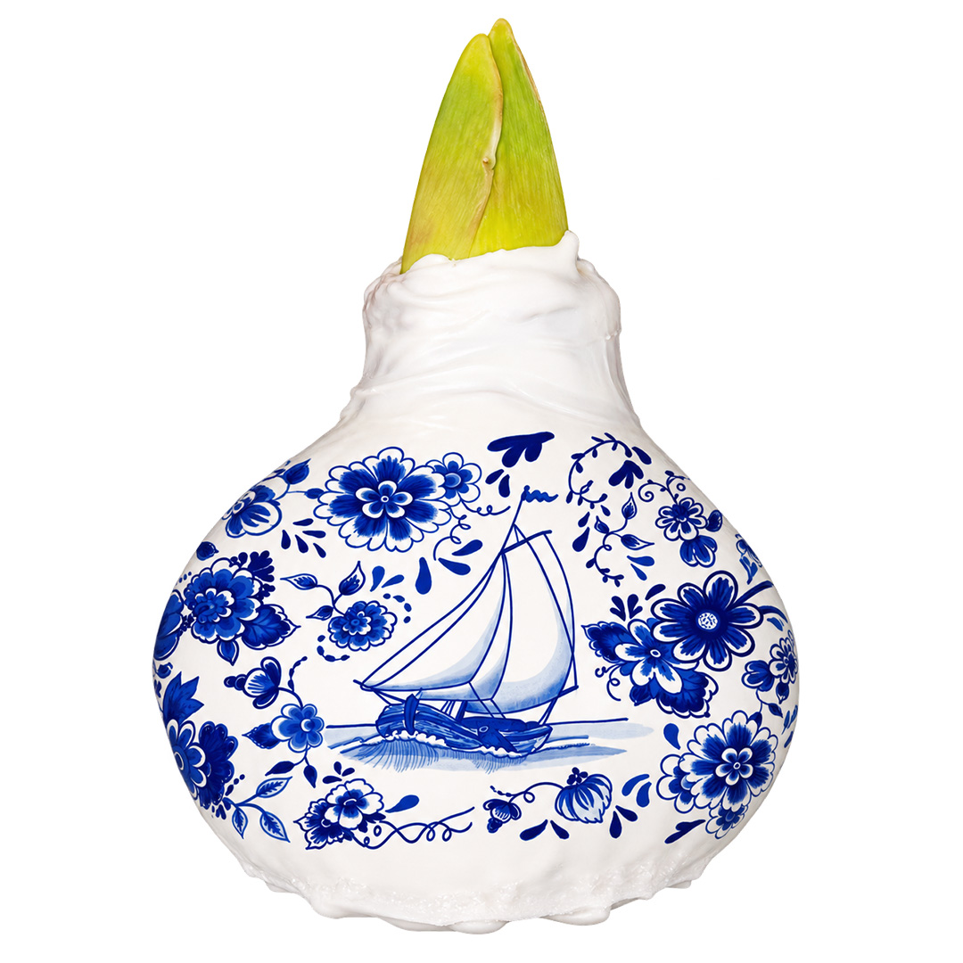 Wax Amaryllis XL Delfts Blauw Zeilboot