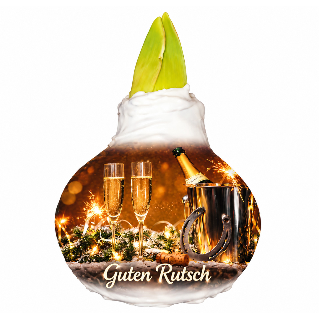 Wax Amaryllis XL Guten Rutsch