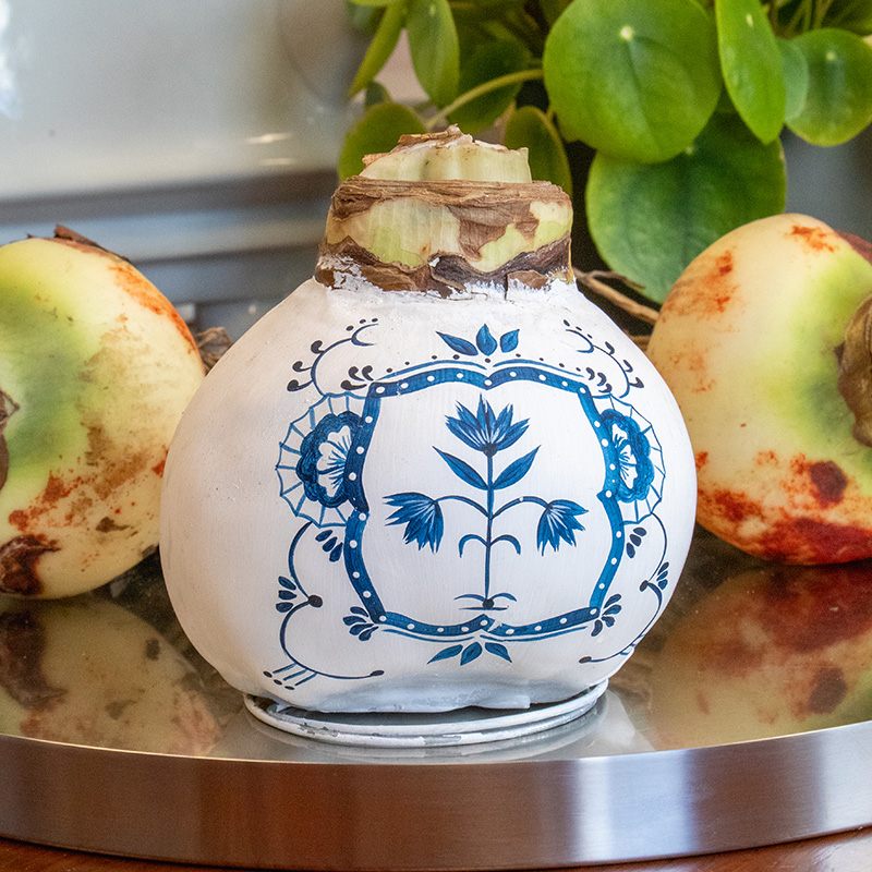 9000067-Wax-Amaryllis-Delfts-Blauw-Dutch-Tile Wax Amaryllis XXL Delfts Blauw Dutch Tile